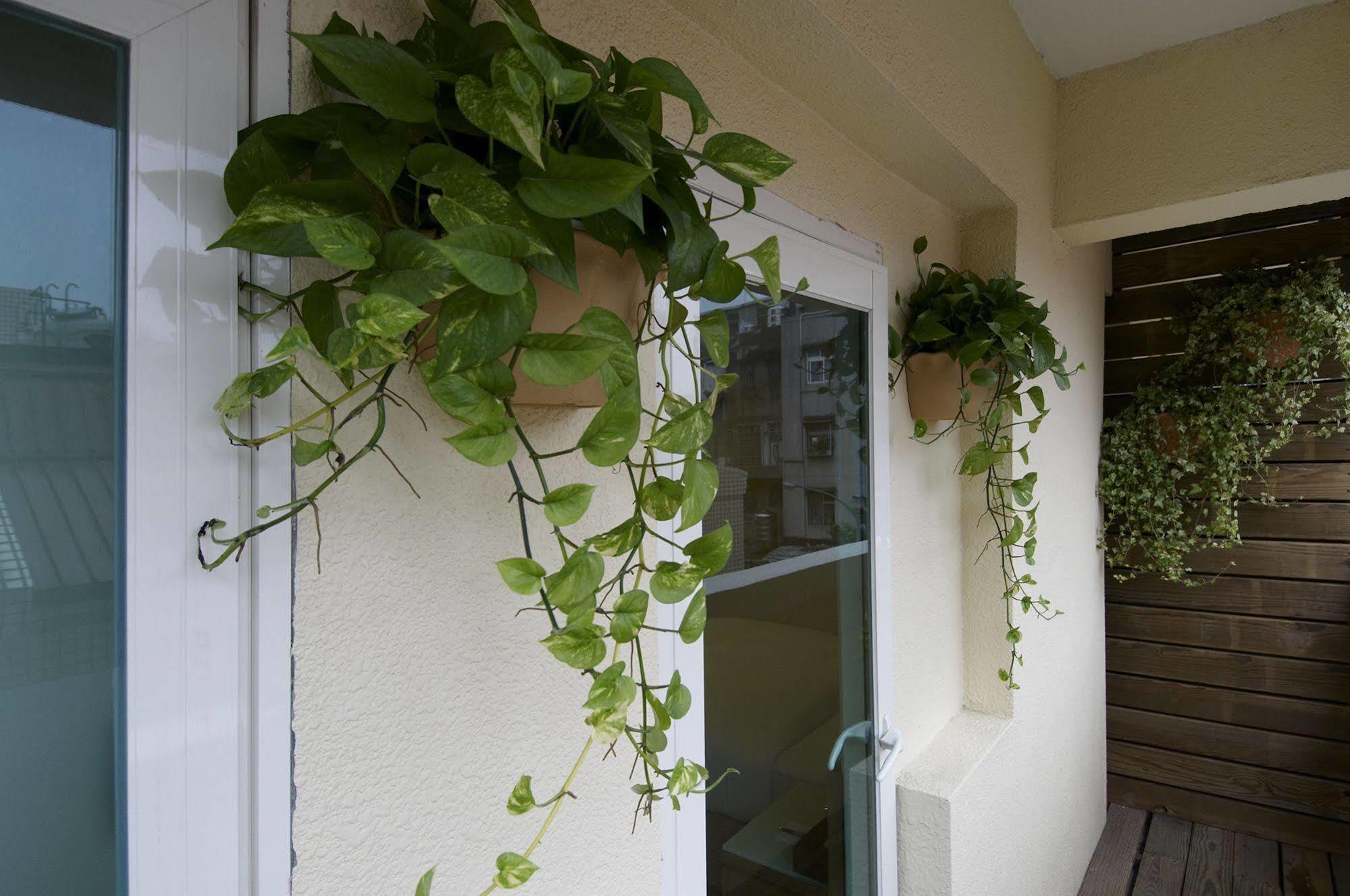 Hotel Color Banciao Luaran gambar